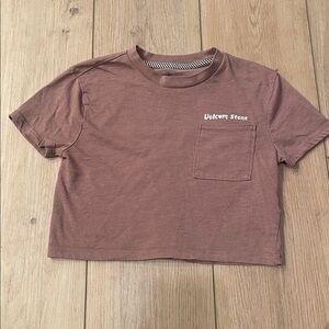 Volcom Mauve Logo crop Tee